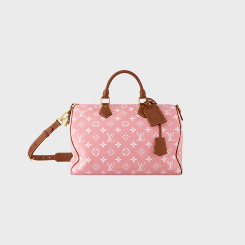 Louis Vuitton Speedy