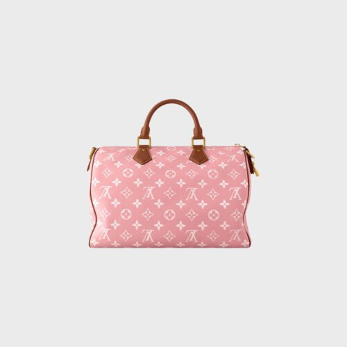 Louis Vuitton Speedy