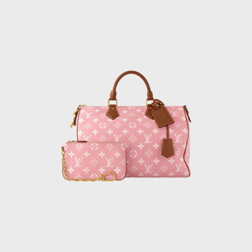 Louis Vuitton Speedy