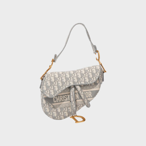 Christian Dior Saddle