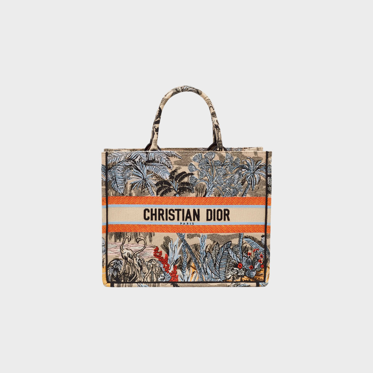 Christian Dior Book Tote