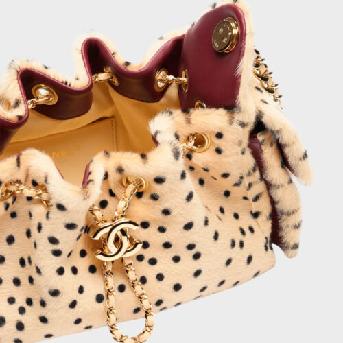 Chanel 25