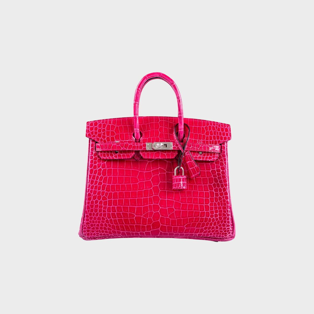 Hermes Birkin 25