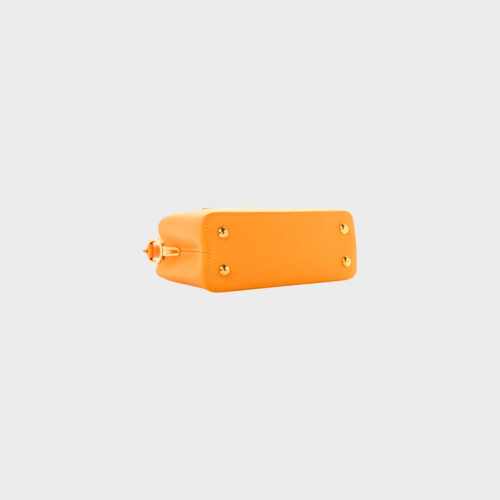 Louis Vuitton Capucines Mini