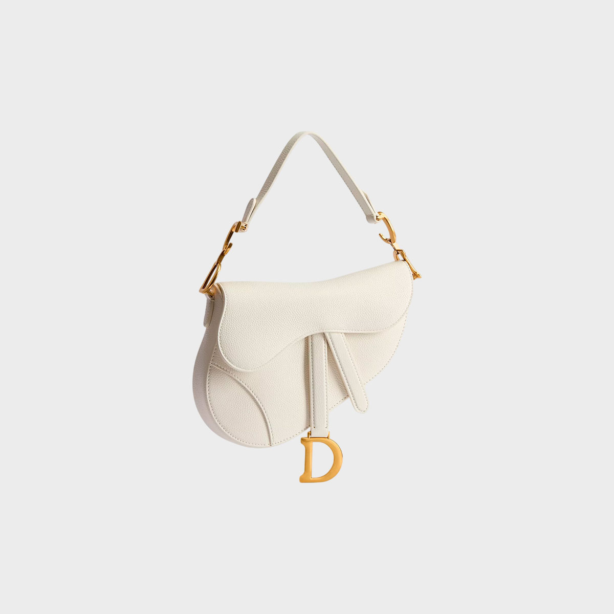 Christian Dior Saddle
